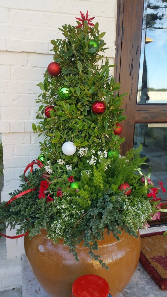 Happy Holiday Containers by Gardening Angel - Photo 5