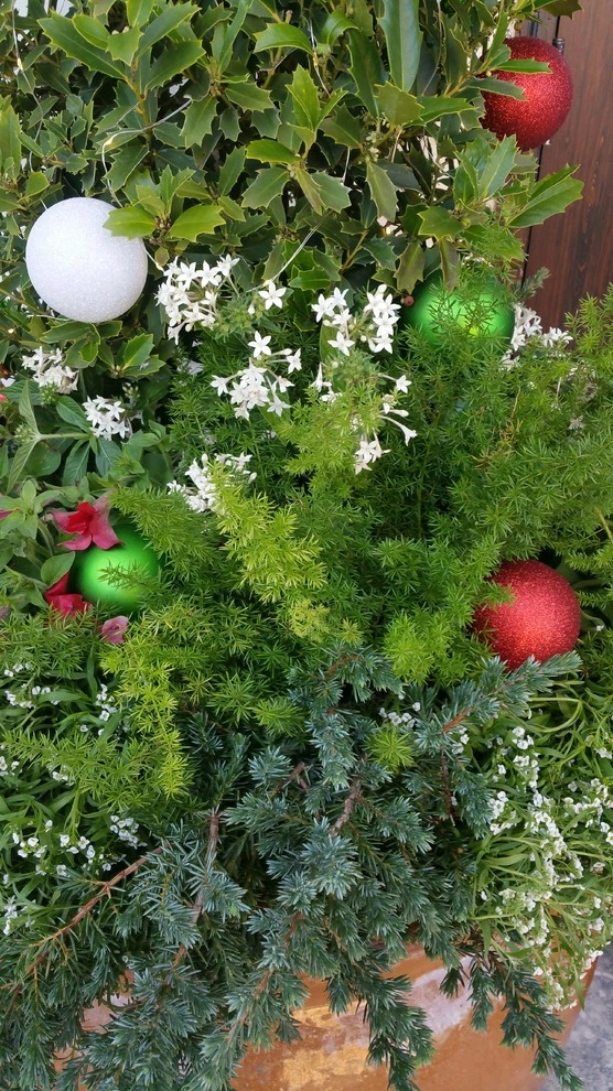 Happy Holiday Containers by Gardening Angel - Photo 3