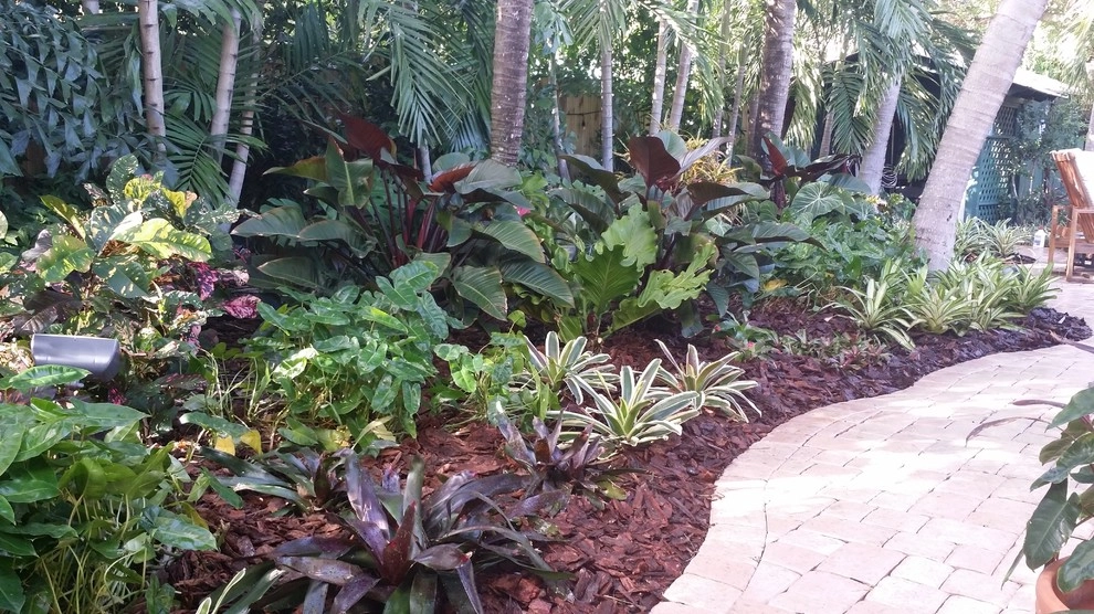 Tropical Paradise - Backyard Makeover by Gardening Angel - Photo 3