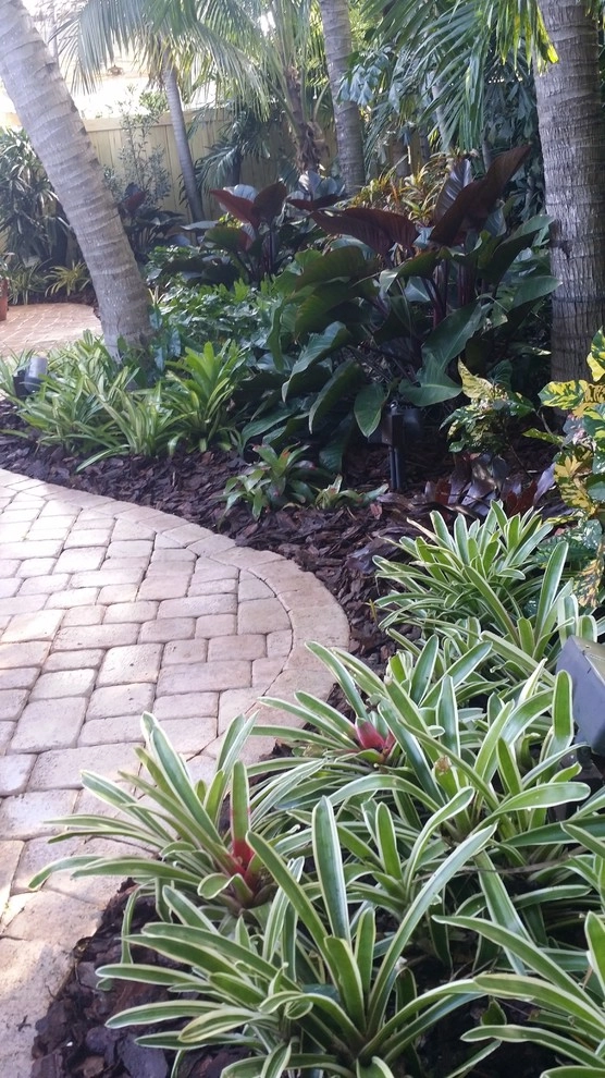 Tropical Paradise - Backyard Makeover by Gardening Angel - Photo 16