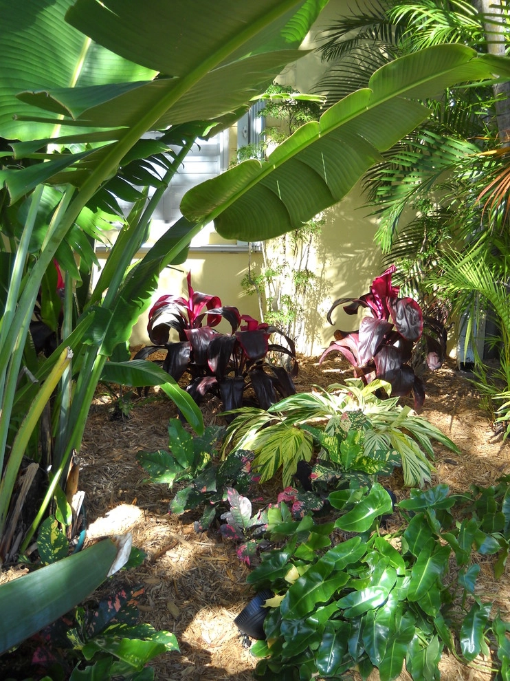 Shade Garden by Gardening Angel - Photo 2