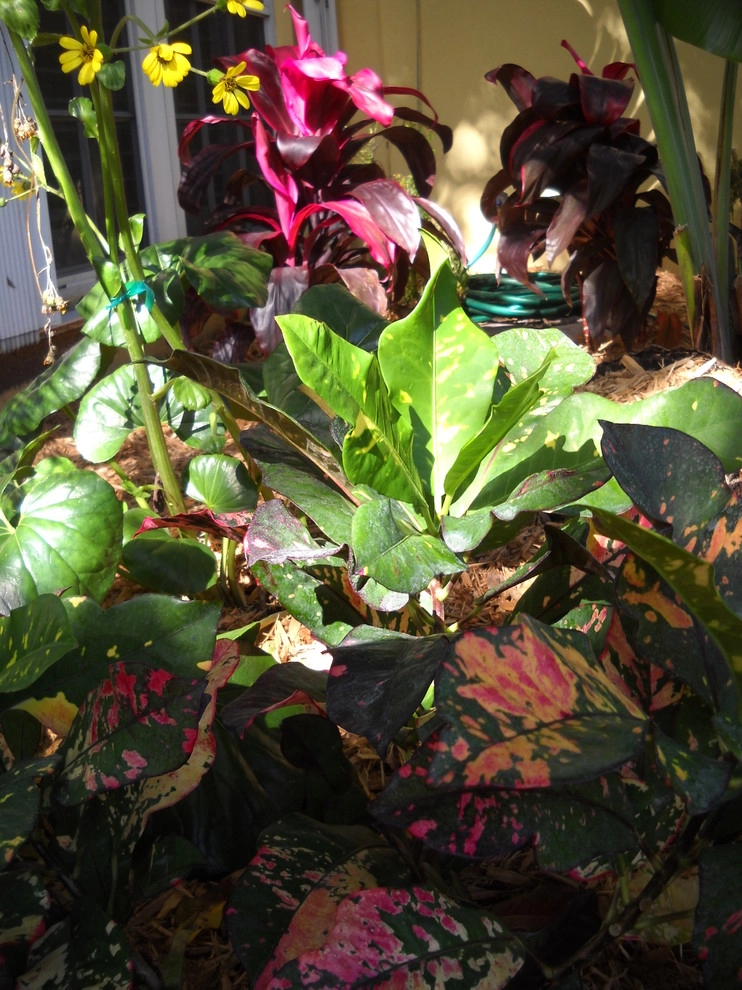 Shade Garden by Gardening Angel - Photo 7