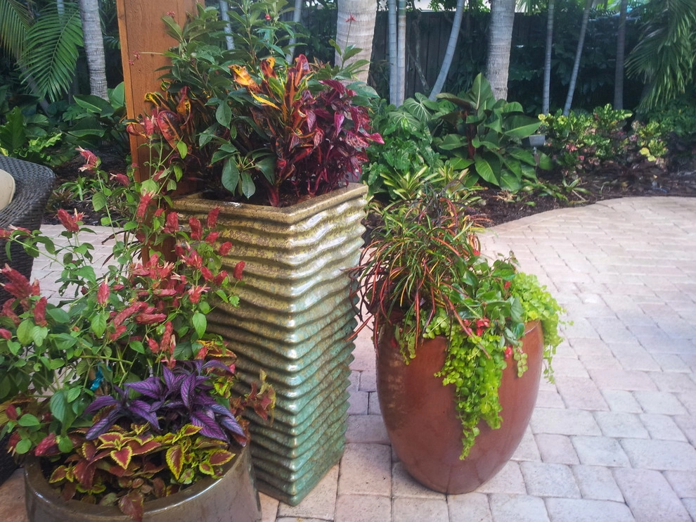 Colorful Containers by Gardening Angel - Photo 7