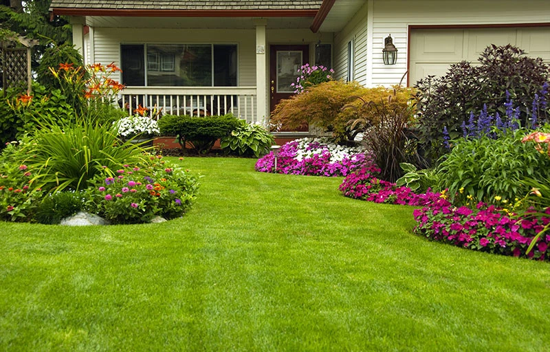 Desert Gardens Outdoor Services, Inc. - Photo 7