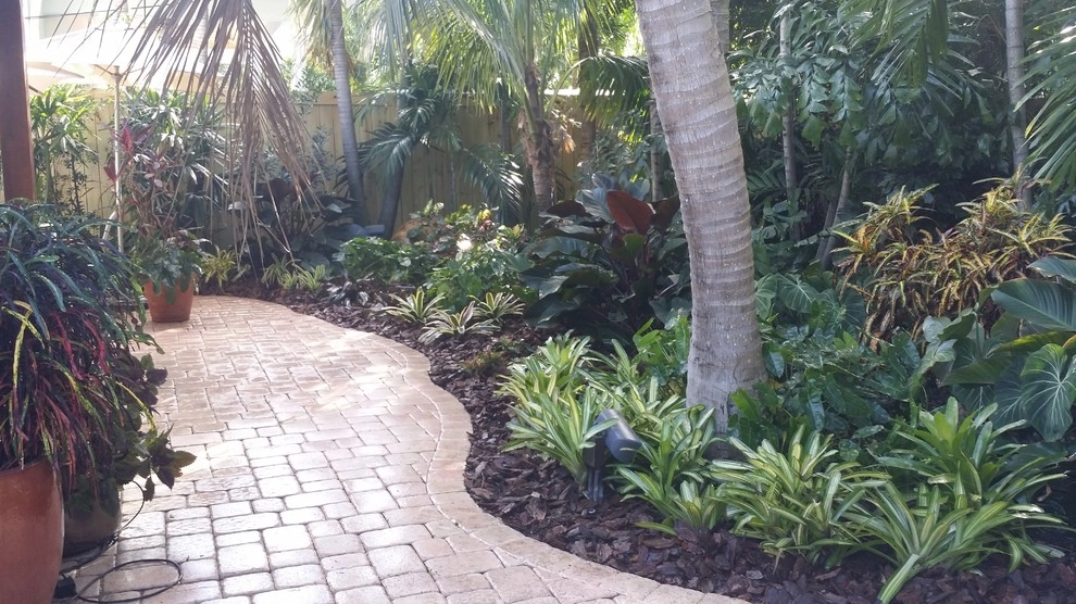 Tropical Paradise - Backyard Makeover by Gardening Angel - Photo 5