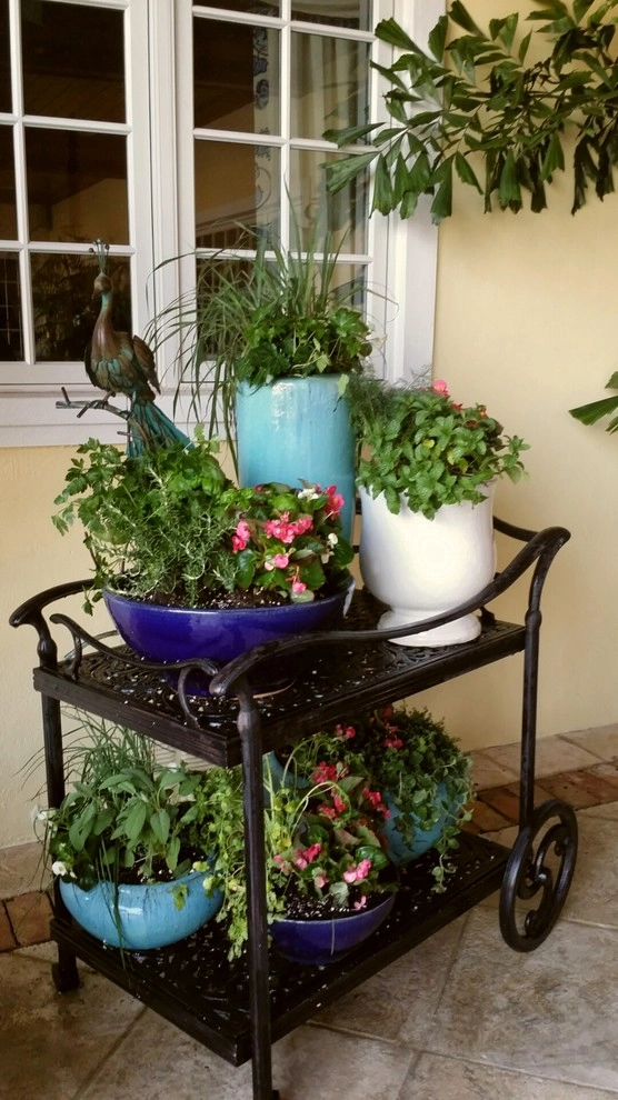 Patio Paradise by Gardening Angel - Photo 6