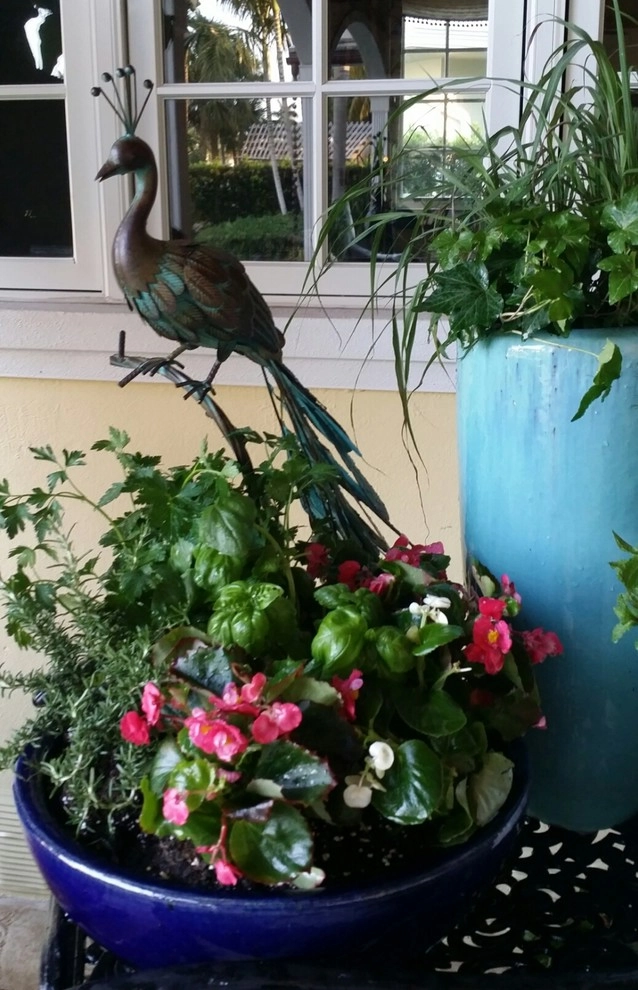 Patio Paradise by Gardening Angel - Photo 11