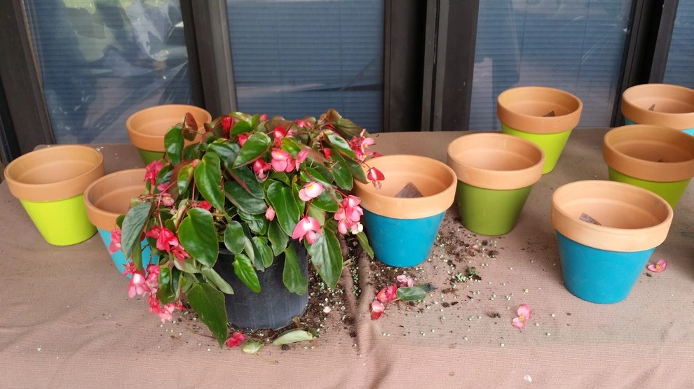 Gardening Angel - Photo 14