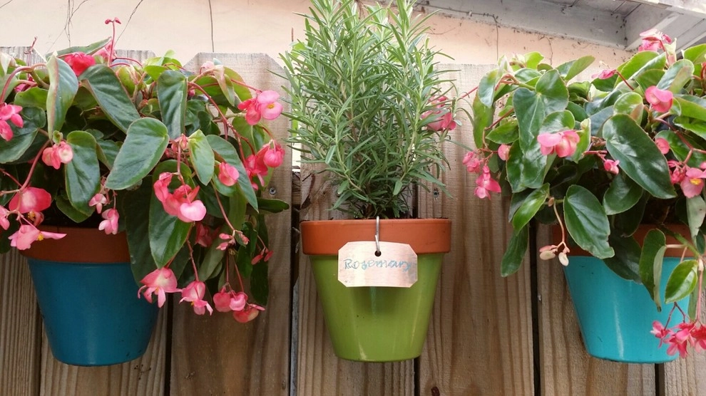 Herb Garden by Gardening Angel - Photo 3