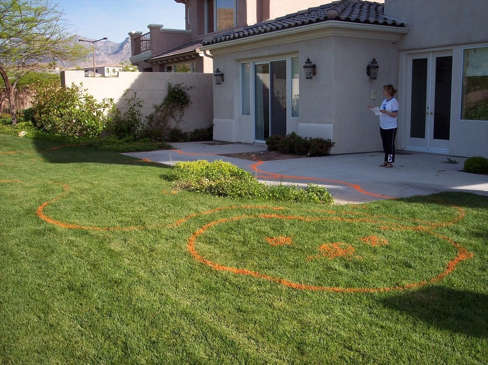 Construction Photos by Desert Springs Landscaping - Photo 27