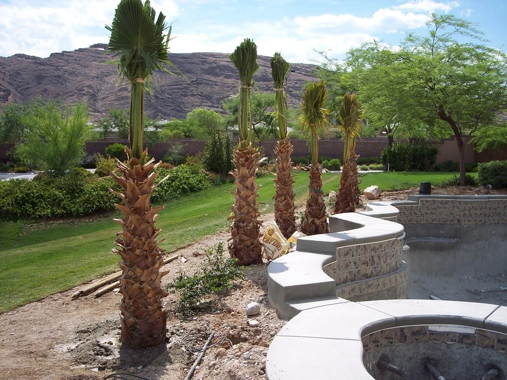 Construction Photos by Desert Springs Landscaping - Photo 6