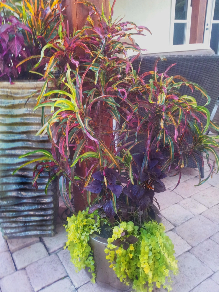 Colorful Containers by Gardening Angel - Photo 13