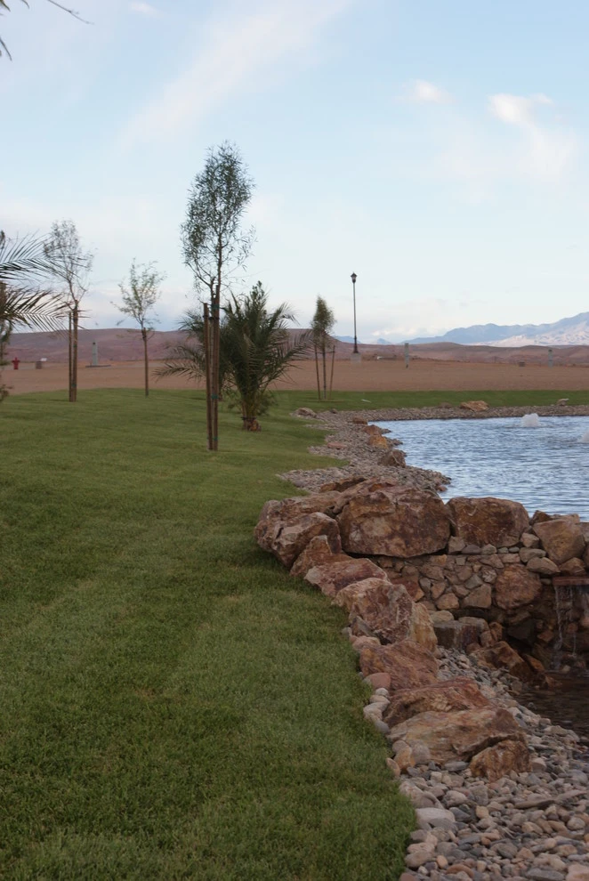 Mesquite Nevada Pond by Desert Springs Landscaping - Photo 3