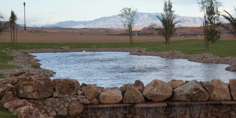 Mesquite Nevada Pond by Desert Springs Landscaping - Photo 4