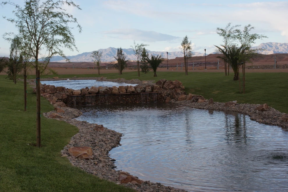 Mesquite Nevada Pond by Desert Springs Landscaping - Photo 2
