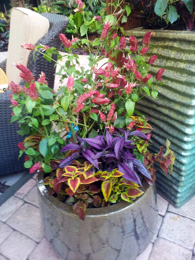 Colorful Containers by Gardening Angel - Photo 3