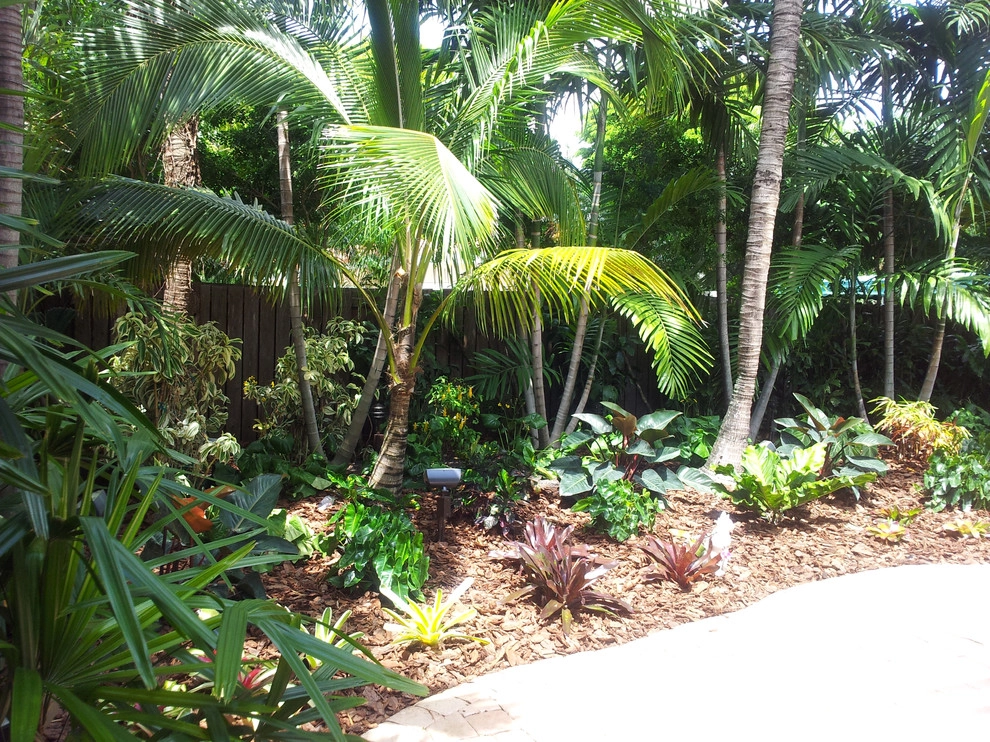 Tropical Paradise - Backyard Makeover by Gardening Angel - Photo 17