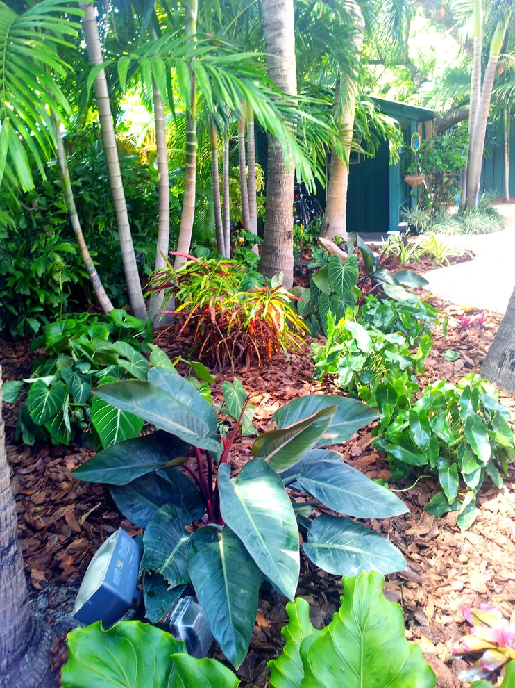Tropical Paradise - Backyard Makeover by Gardening Angel - Photo 7