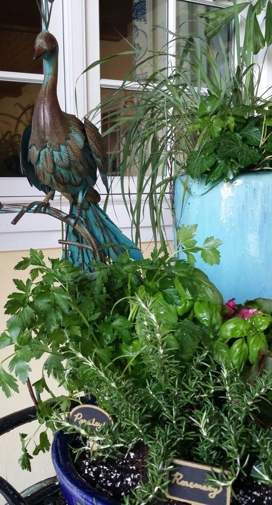 Patio Paradise by Gardening Angel - Photo 4