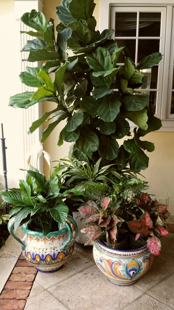 Patio Paradise by Gardening Angel - Photo 9