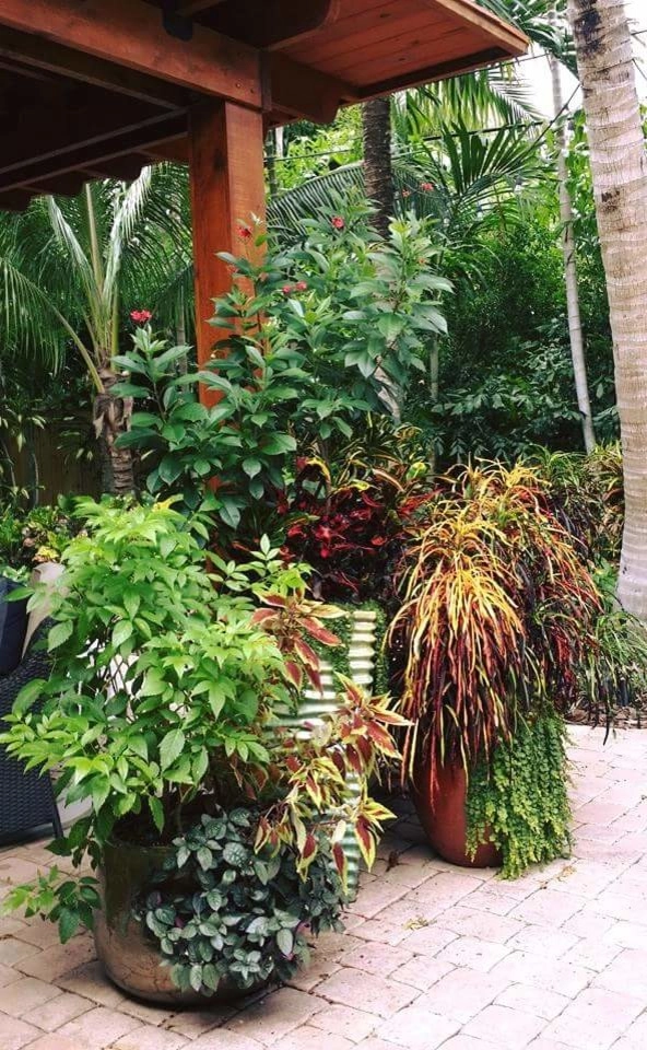 Colorful Containers by Gardening Angel - Photo 8