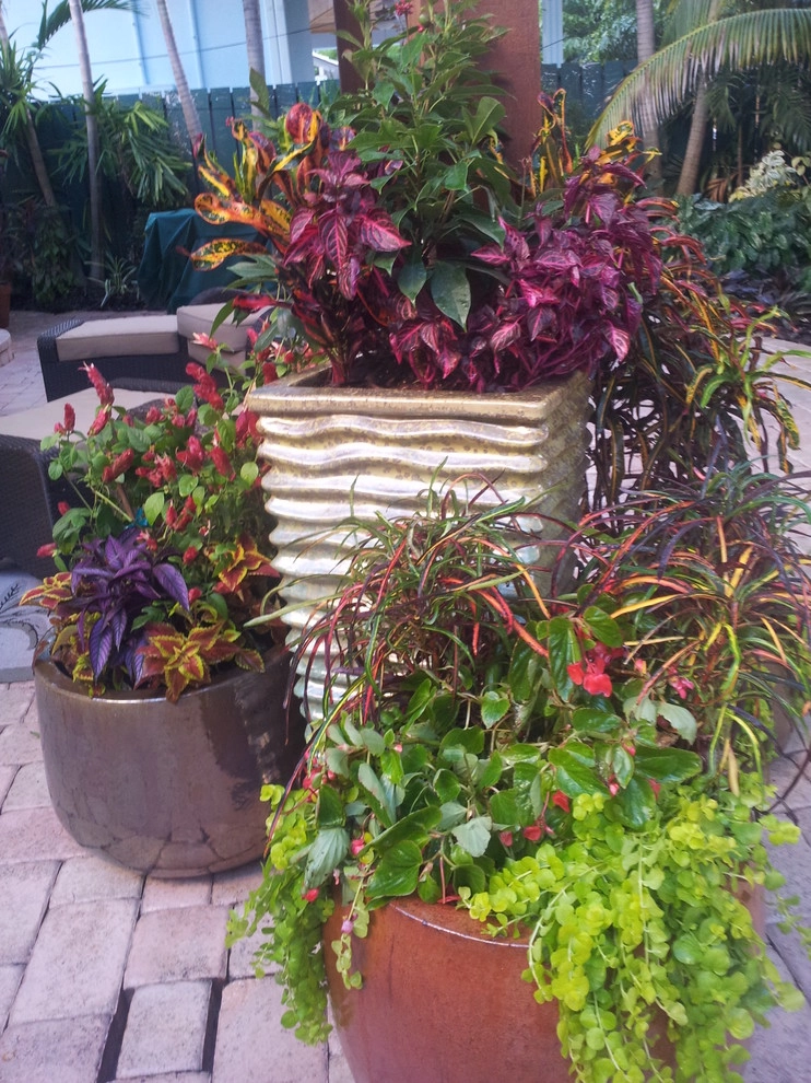 Colorful Containers by Gardening Angel - Photo 9