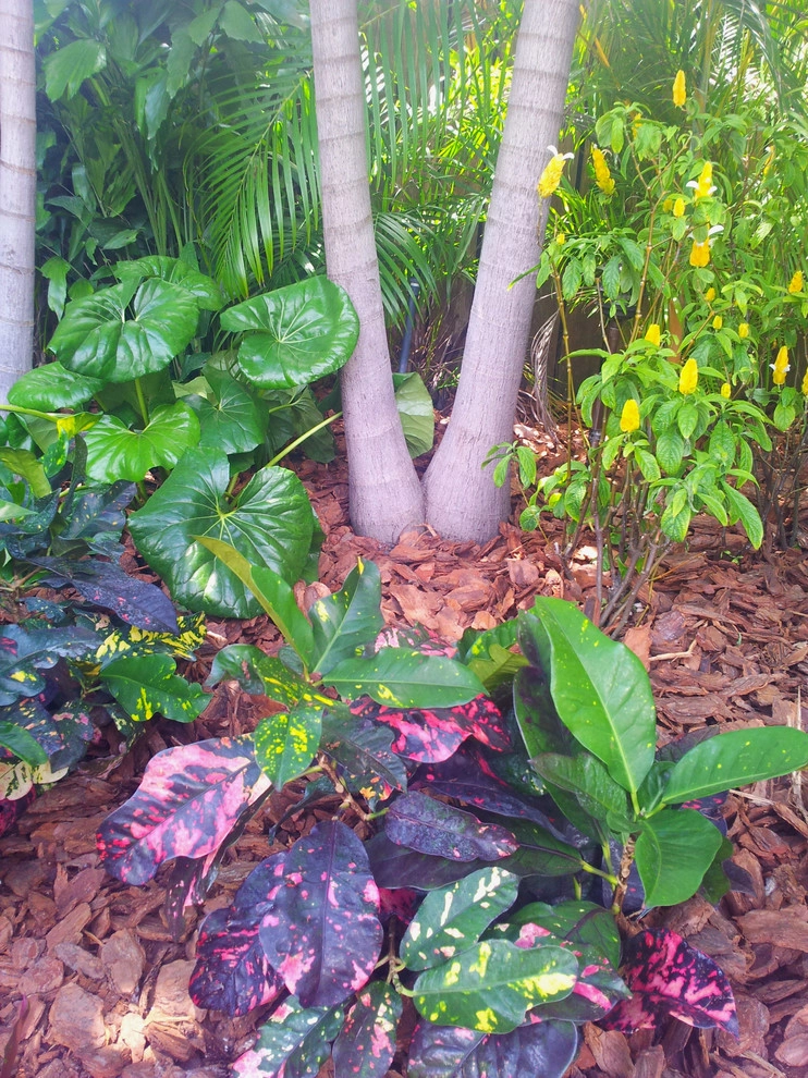 Tropical Paradise - Backyard Makeover by Gardening Angel - Photo 12