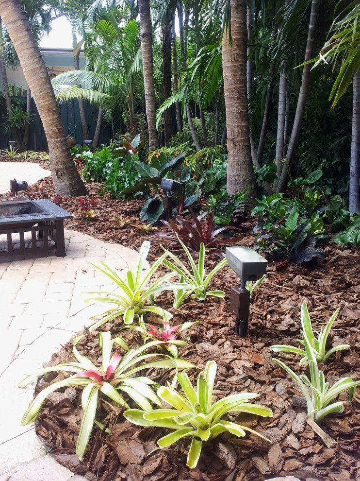 Tropical Paradise - Backyard Makeover by Gardening Angel - Photo 14