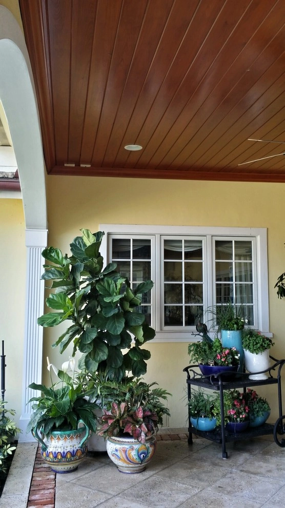 Patio Paradise by Gardening Angel - Photo 10
