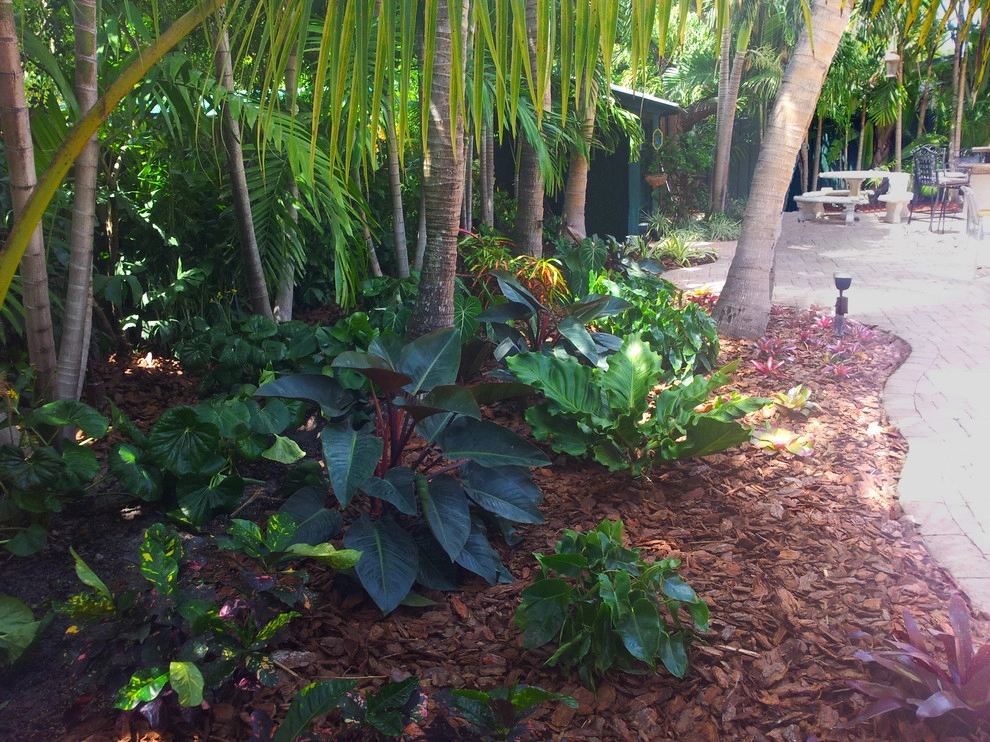 Tropical Paradise - Backyard Makeover by Gardening Angel - Photo 4