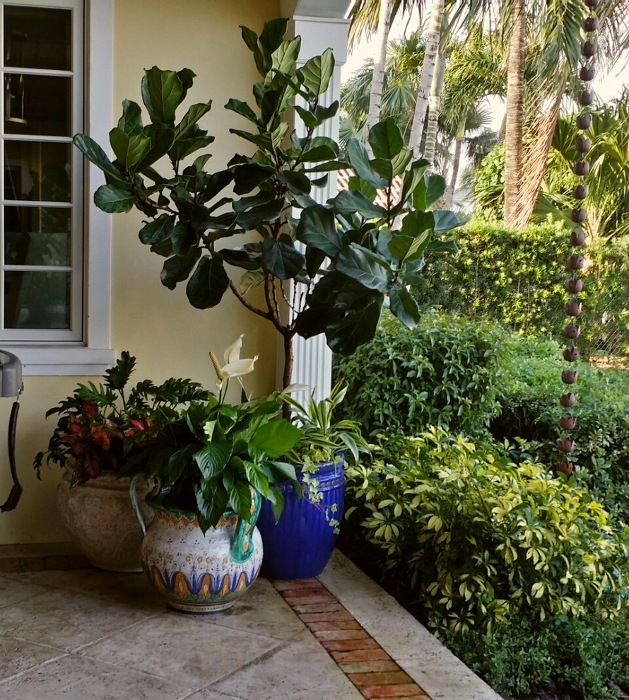 Patio Paradise by Gardening Angel - Photo 2