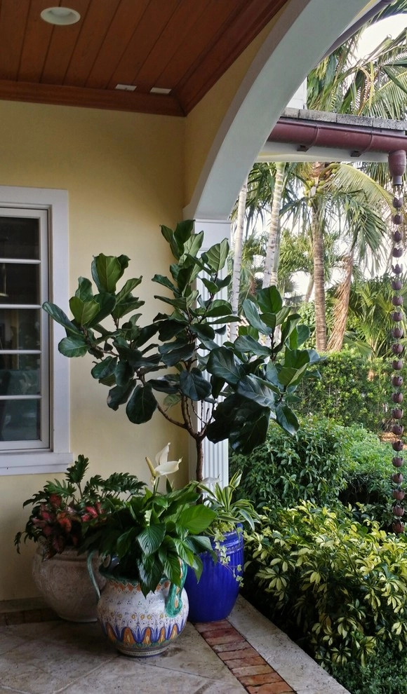 Patio Paradise by Gardening Angel - Photo 8