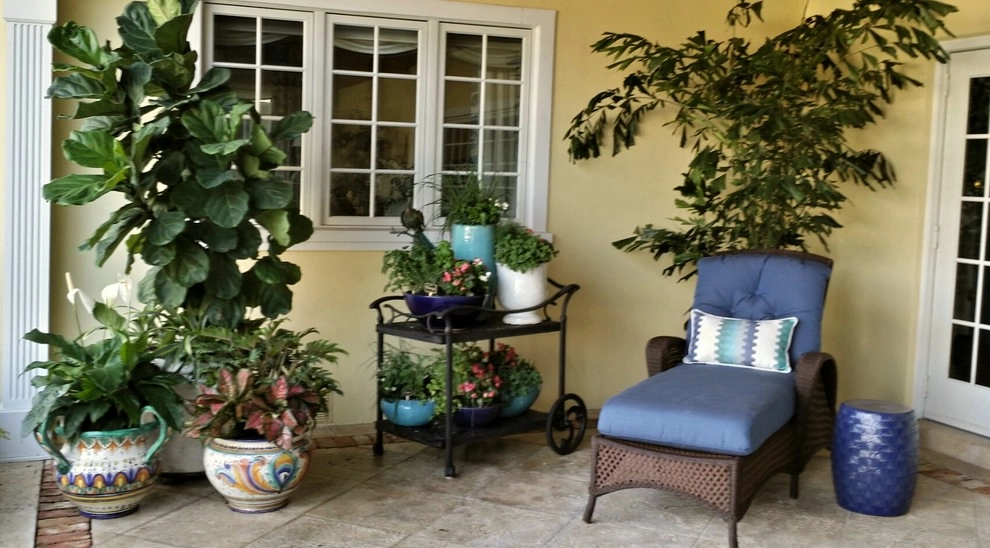 Patio Paradise by Gardening Angel - Photo 7