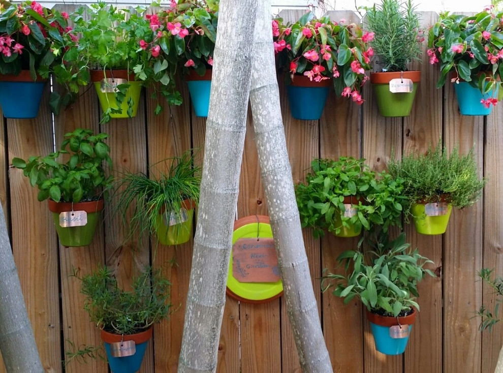 Herb Garden by Gardening Angel - Photo 8