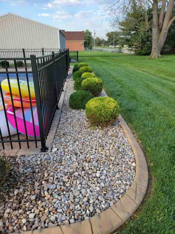 Alberto Alavez Professional Lawn Services LLC 4 by Alberto Alavez Professional Lawn Services LLC - Photo 117