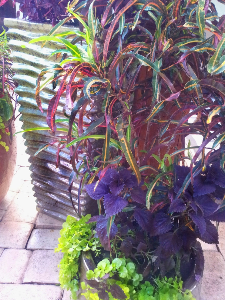 Colorful Containers by Gardening Angel - Photo 11