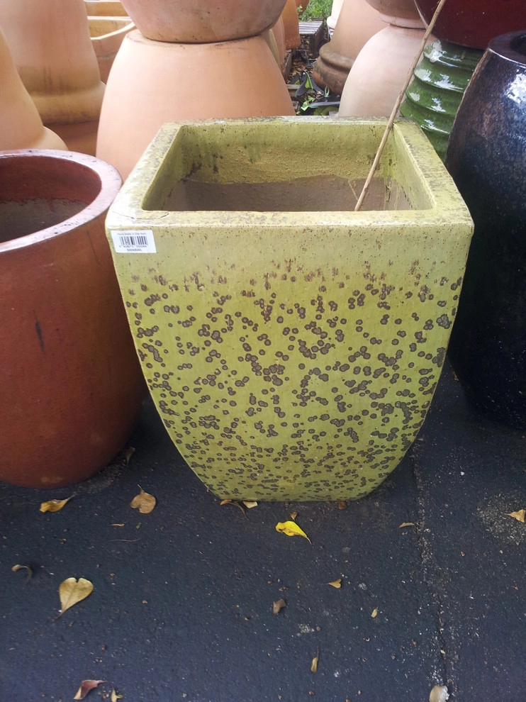 Colorful Containers by Gardening Angel - Photo 4