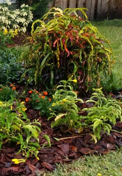 Welcoming Water by Gardening Angel - Photo 10