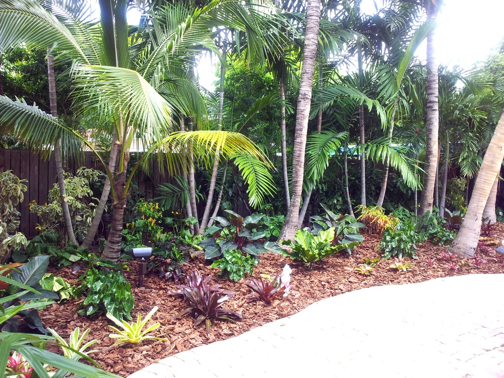 Tropical Paradise - Backyard Makeover by Gardening Angel - Photo 10