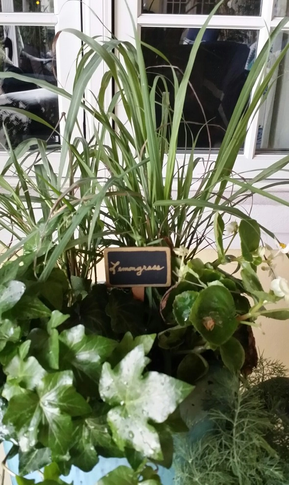 Patio Paradise by Gardening Angel - Photo 5
