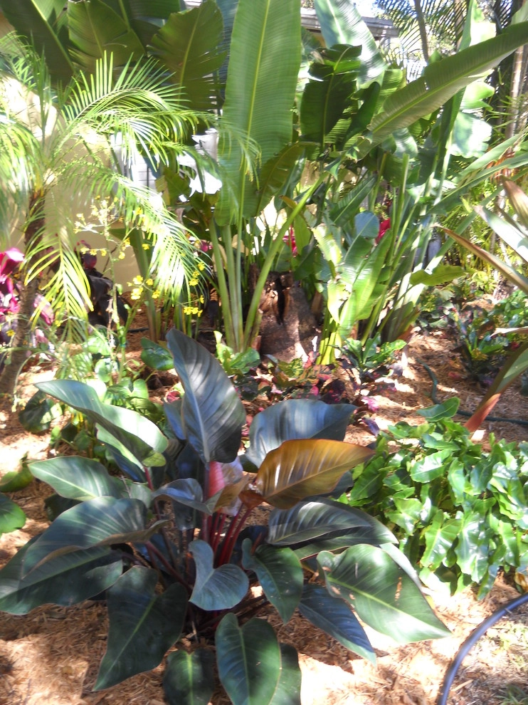 Shade Garden by Gardening Angel - Photo 5