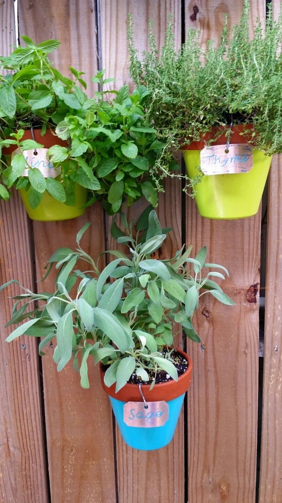 Herb Garden by Gardening Angel - Photo 4