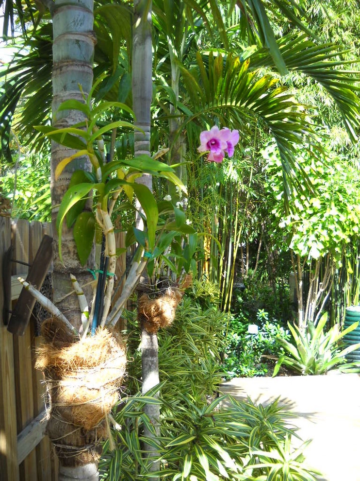 Asian Gardens by Gardening Angel - Photo 18