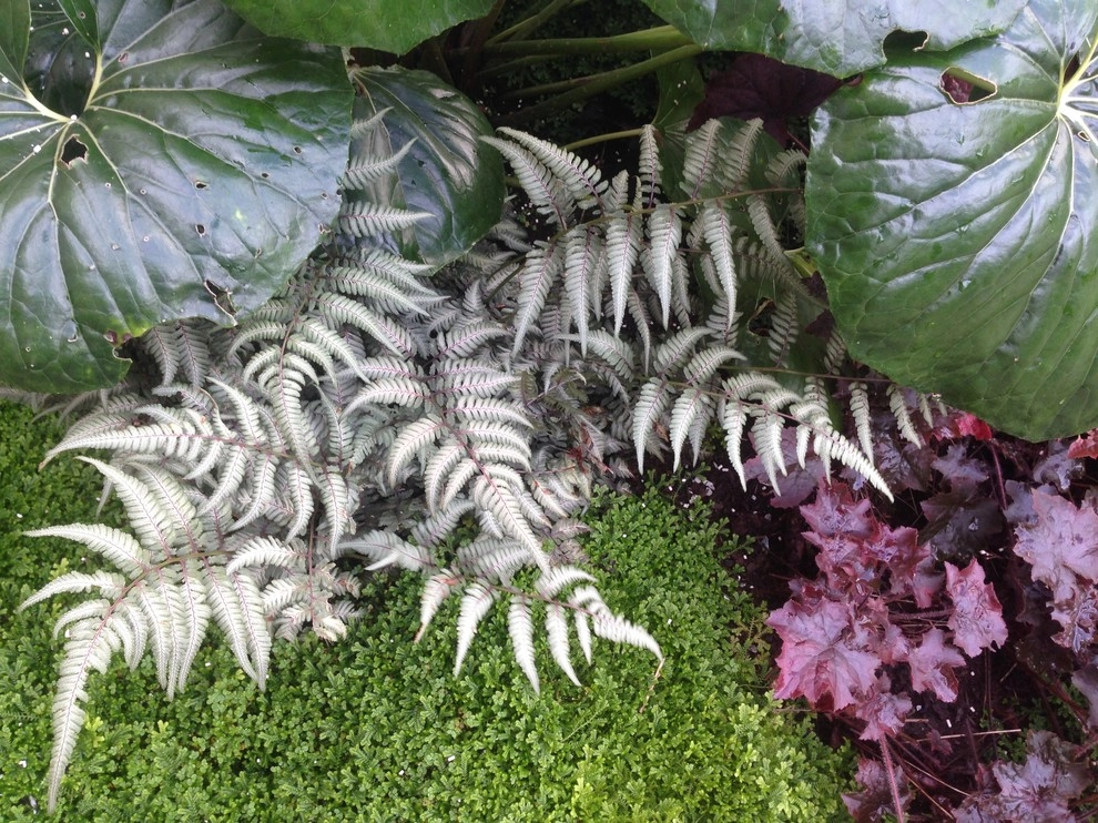Medina Garden by Gardening GaGa - Photo 2