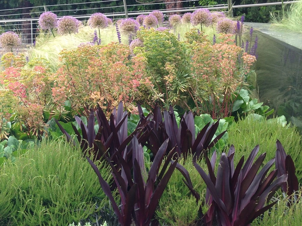 Medina Garden by Gardening GaGa - Photo 3