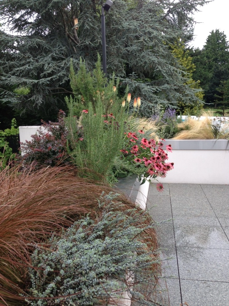 Medina Garden by Gardening GaGa - Photo 14