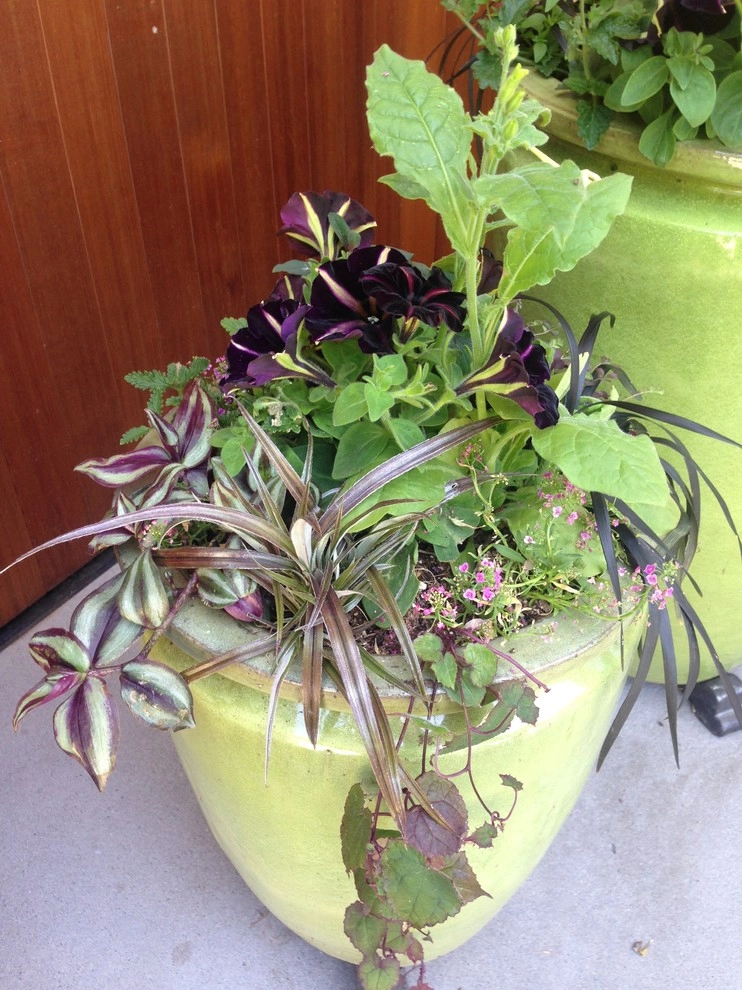 Gardening GaGa - Photo 10