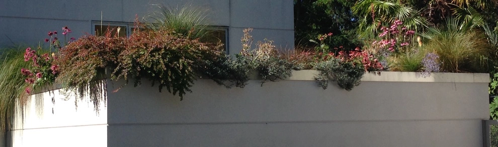 Medina Garden by Gardening GaGa - Photo 9