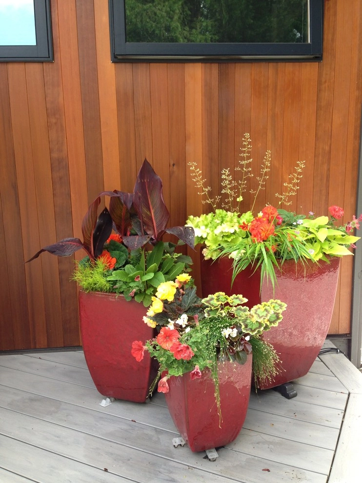 Bellevue Modern by Gardening GaGa - Photo 2
