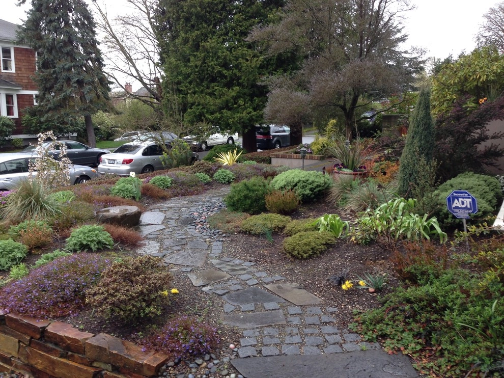 Queen Anne drought tolerant garden by Gardening GaGa - Photo 3